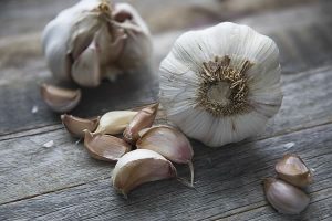 Garlic Bulbs