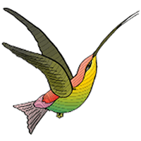 Hummingbird Creations
