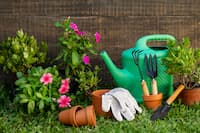 Happy Gardening